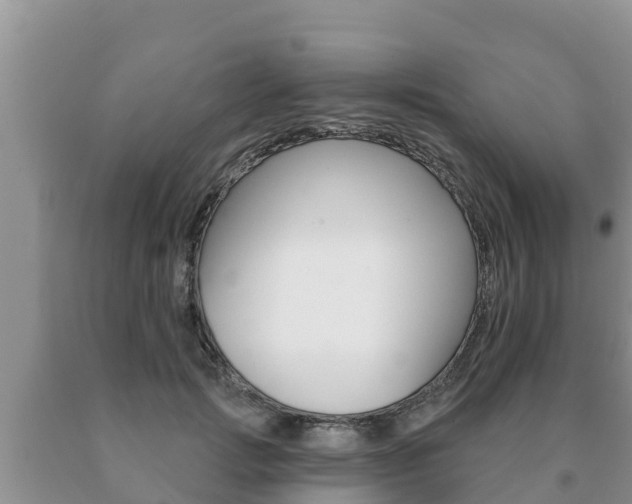 X0000091070749200708061022