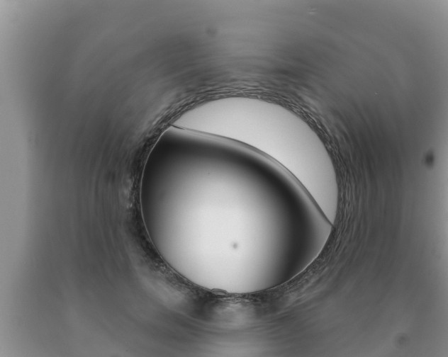 X0000091070750200708061022
