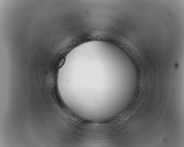 X0000091070751200708061022