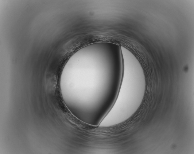X0000091070752200708061022