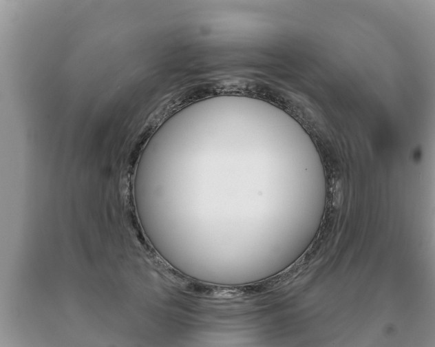 X0000091070753200708061022