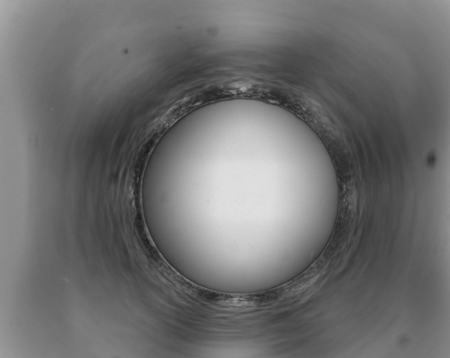 X0000091070754200708061022