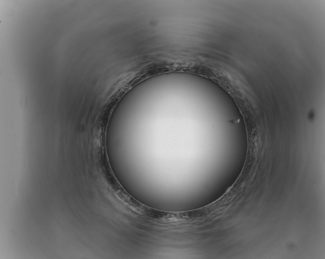 X0000091070756200708061022