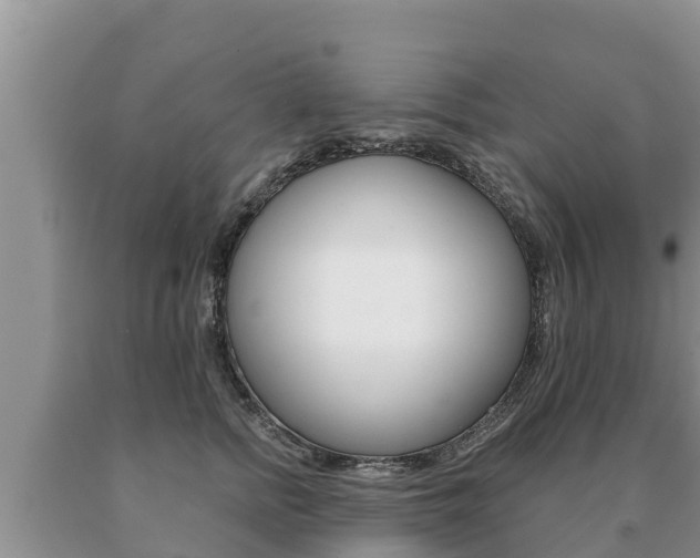 X0000091070758200708061022