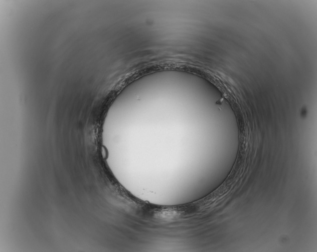X0000091070759200708061022