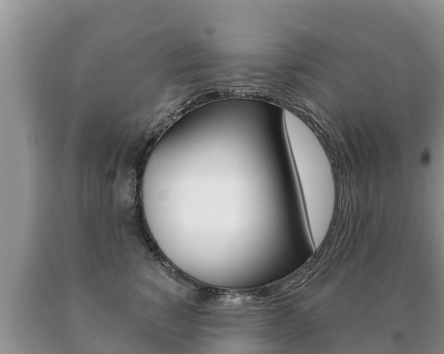 X0000091070760200708061022