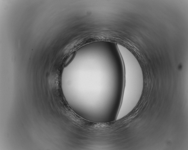 X0000091070762200708061023