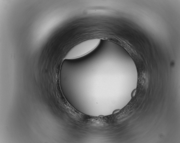 X0000091070763200708061023