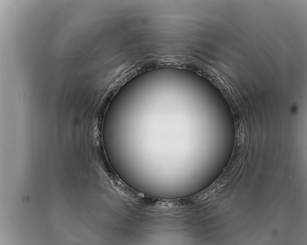 X0000091070764200708061023