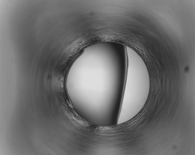 X0000091070766200708061023