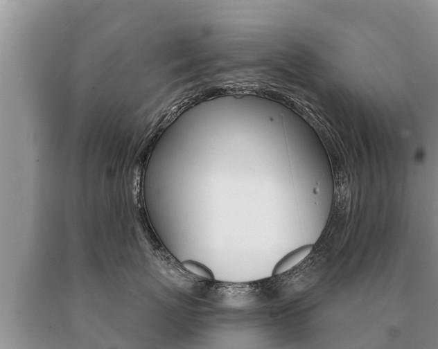 X0000091070767200708061023