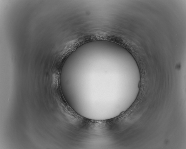 X0000091070768200708061023