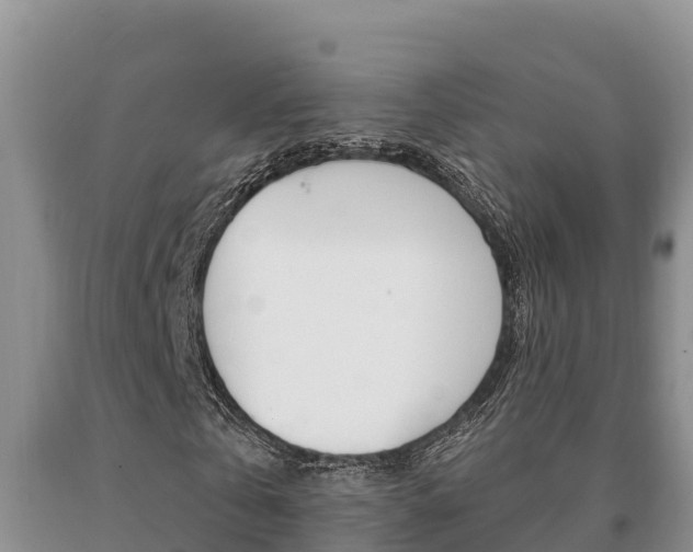 X0000091070769200708061022