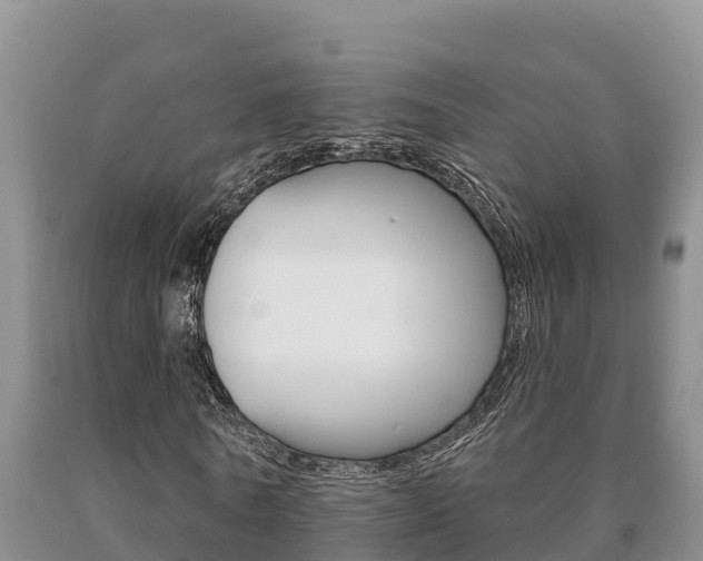 X0000091070770200708061022