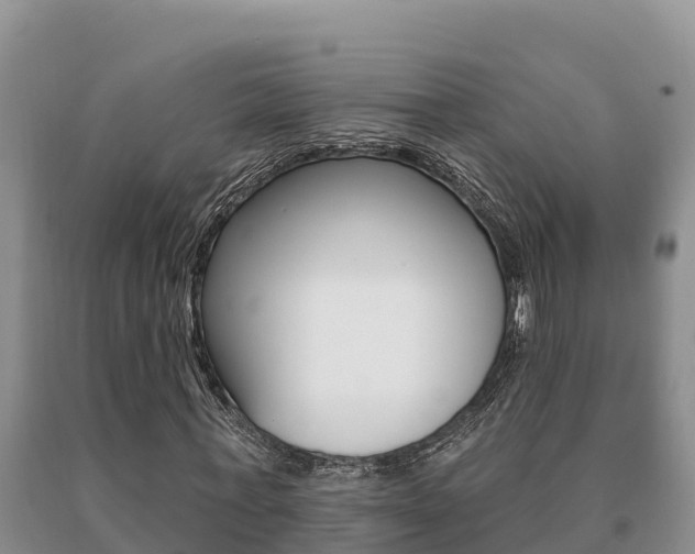 X0000091070771200708061022
