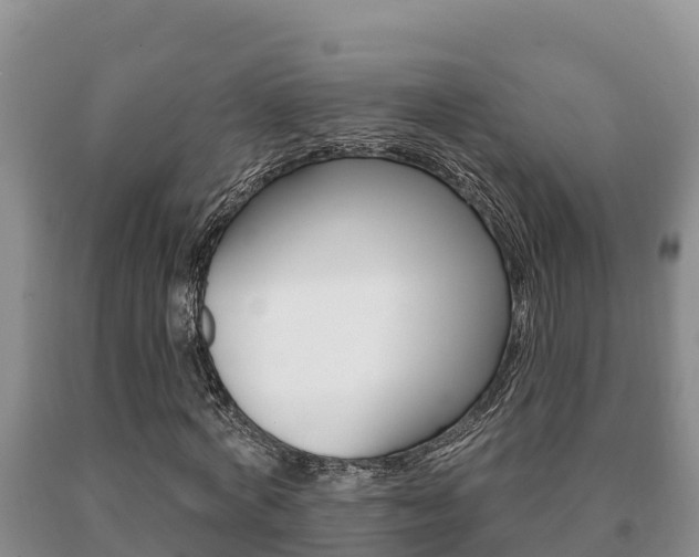 X0000091070772200708061022