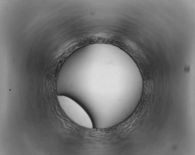 X0000091070774200708061022