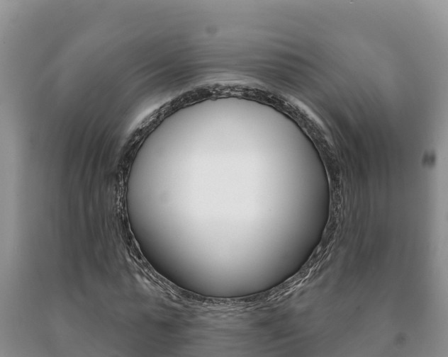 X0000091070775200708061022