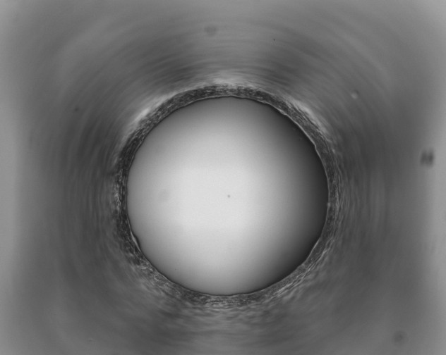 X0000091070776200708061022