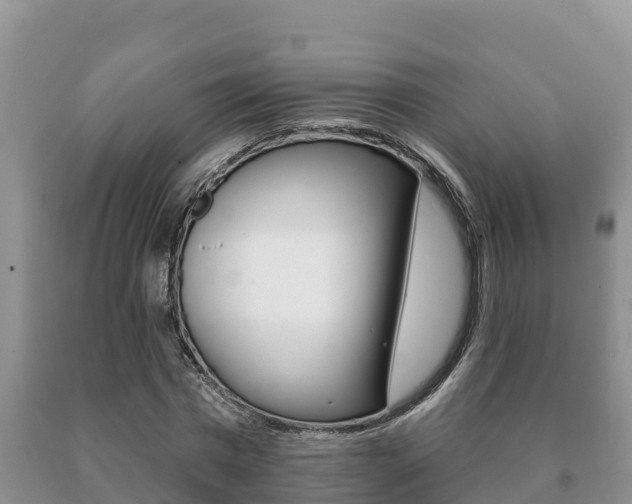 X0000091070777200708061022