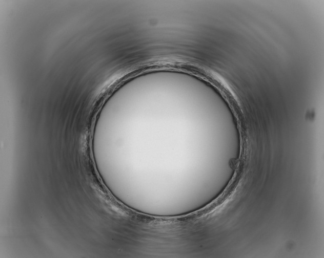 X0000091070778200708061022