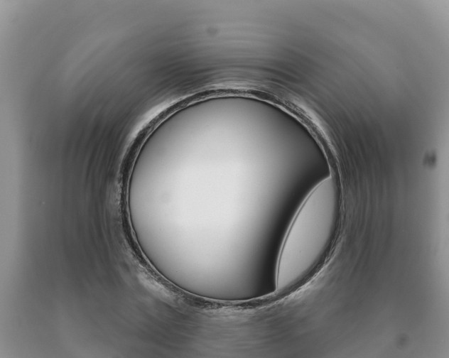 X0000091070779200708061022