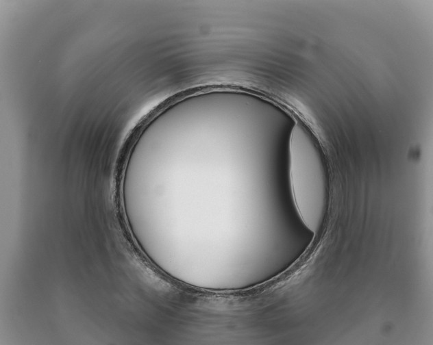 X0000091070780200708061022