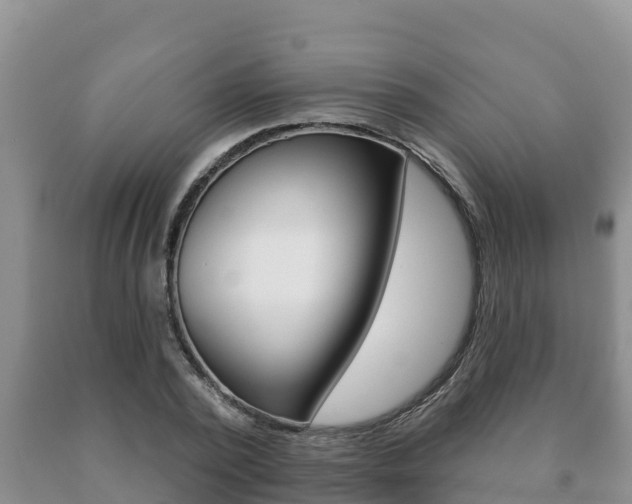X0000091070784200708061022