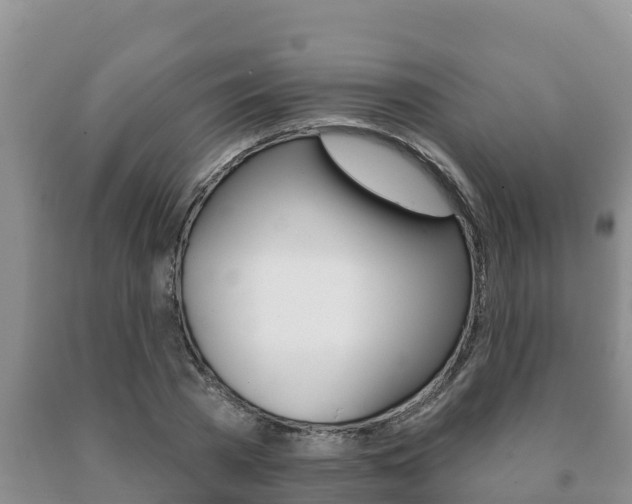 X0000091070785200708061022