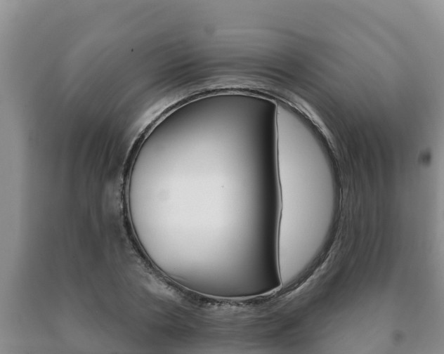 X0000091070786200708061022