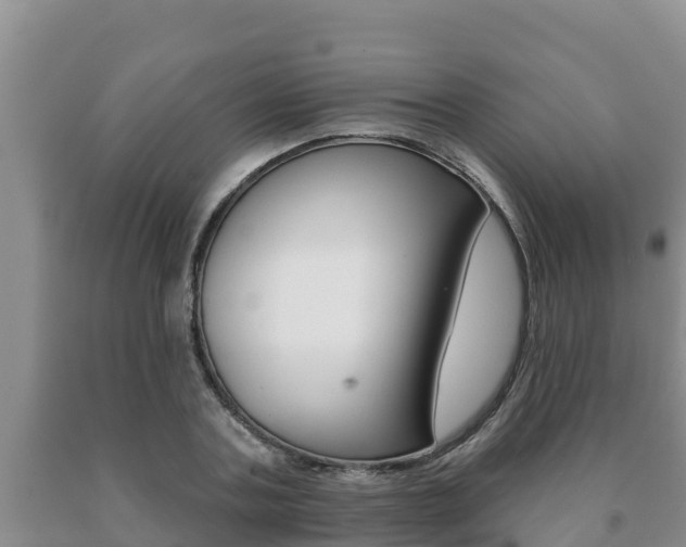 X0000091070787200708061022