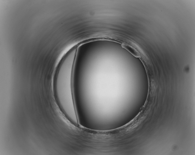 X0000091070788200708061022
