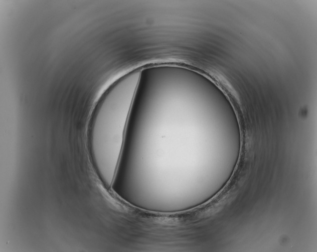 X0000091070789200708061022