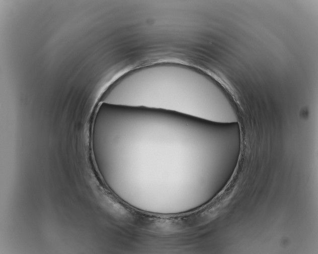 X0000091070790200708061022