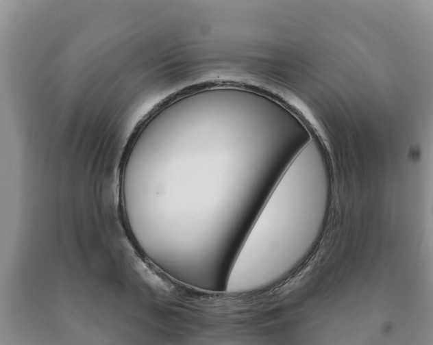 X0000091070791200708061022