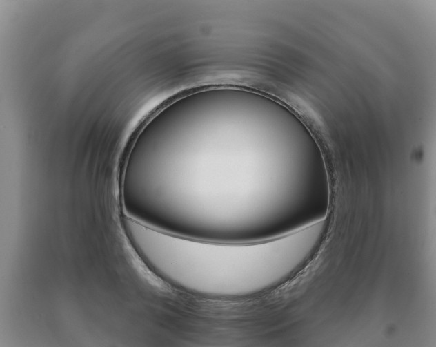 X0000091070792200708061021