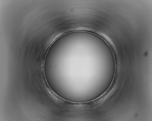 X0000091070793200708061021