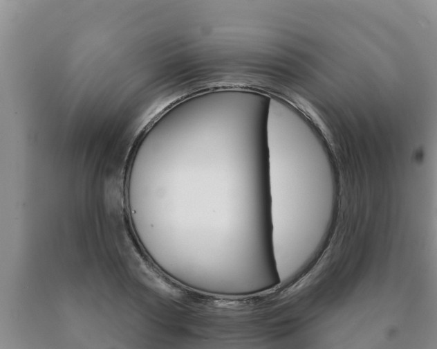 X0000091070794200708061021