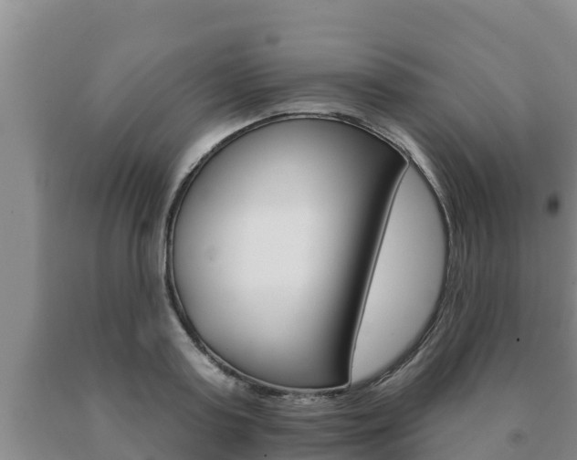 X0000091070795200708061021