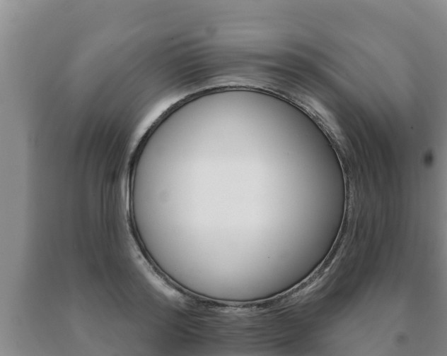 X0000091070796200708061021