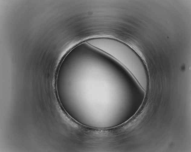 X0000091070797200708061021