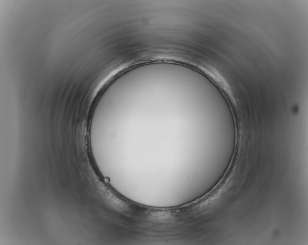X0000091070798200708061021