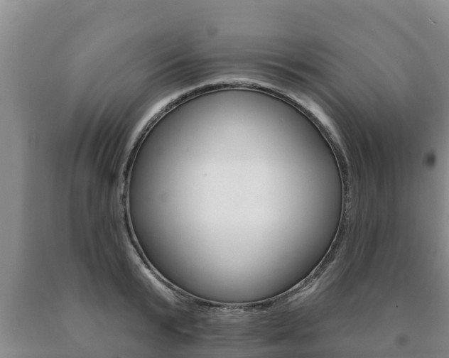 X0000091070799200708061021