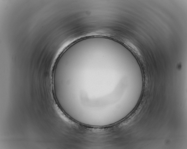 X0000091070800200708061021