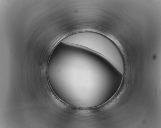 X0000091070801200708061021
