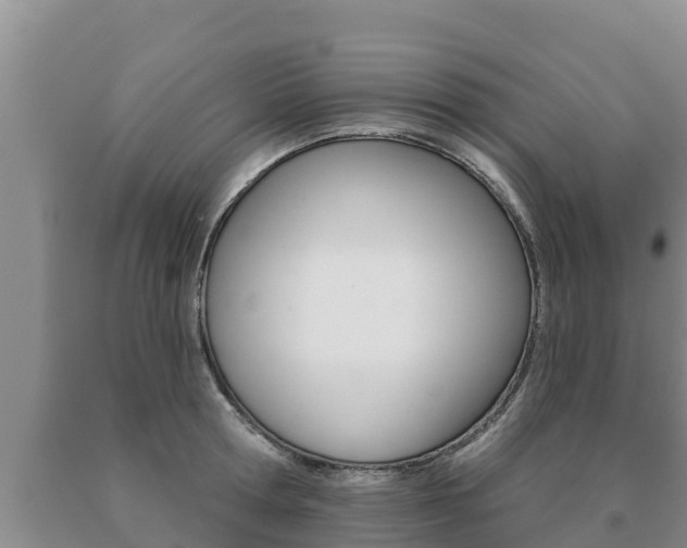 X0000091070802200708061021