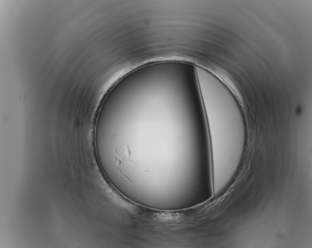 X0000091070805200708061021