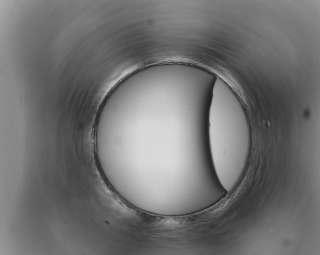 X0000091070806200708061021