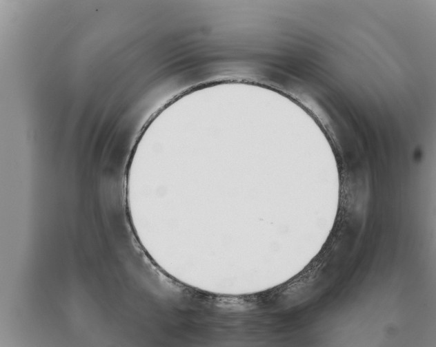 X0000091070807200708061021