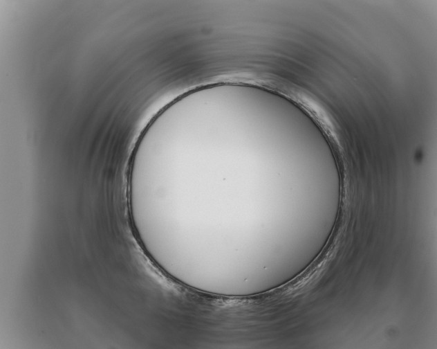 X0000091070808200708061021